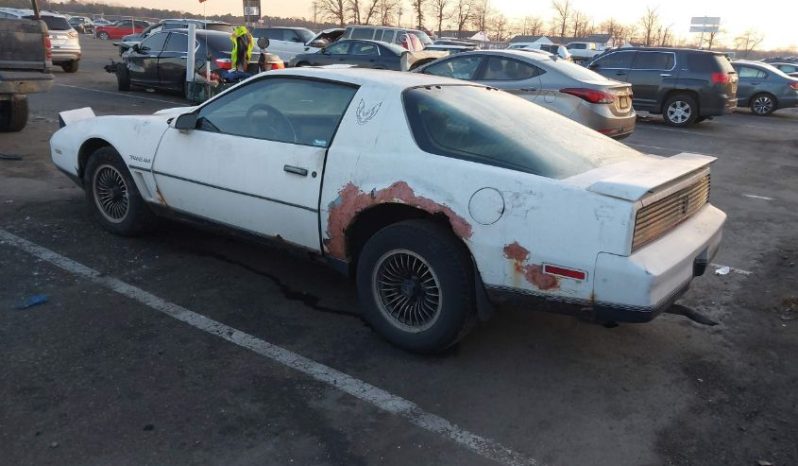 Used 1984 Acura CL full
